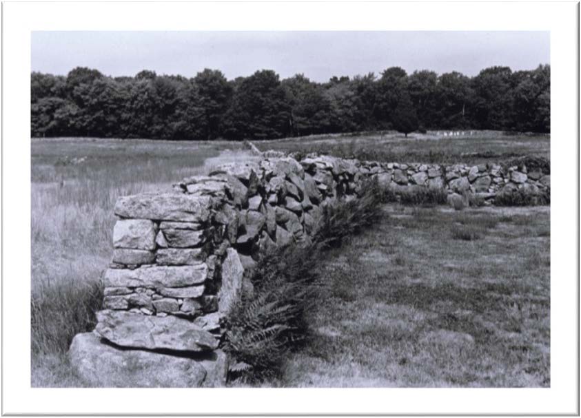 stone_walls_of_south_county_f2017